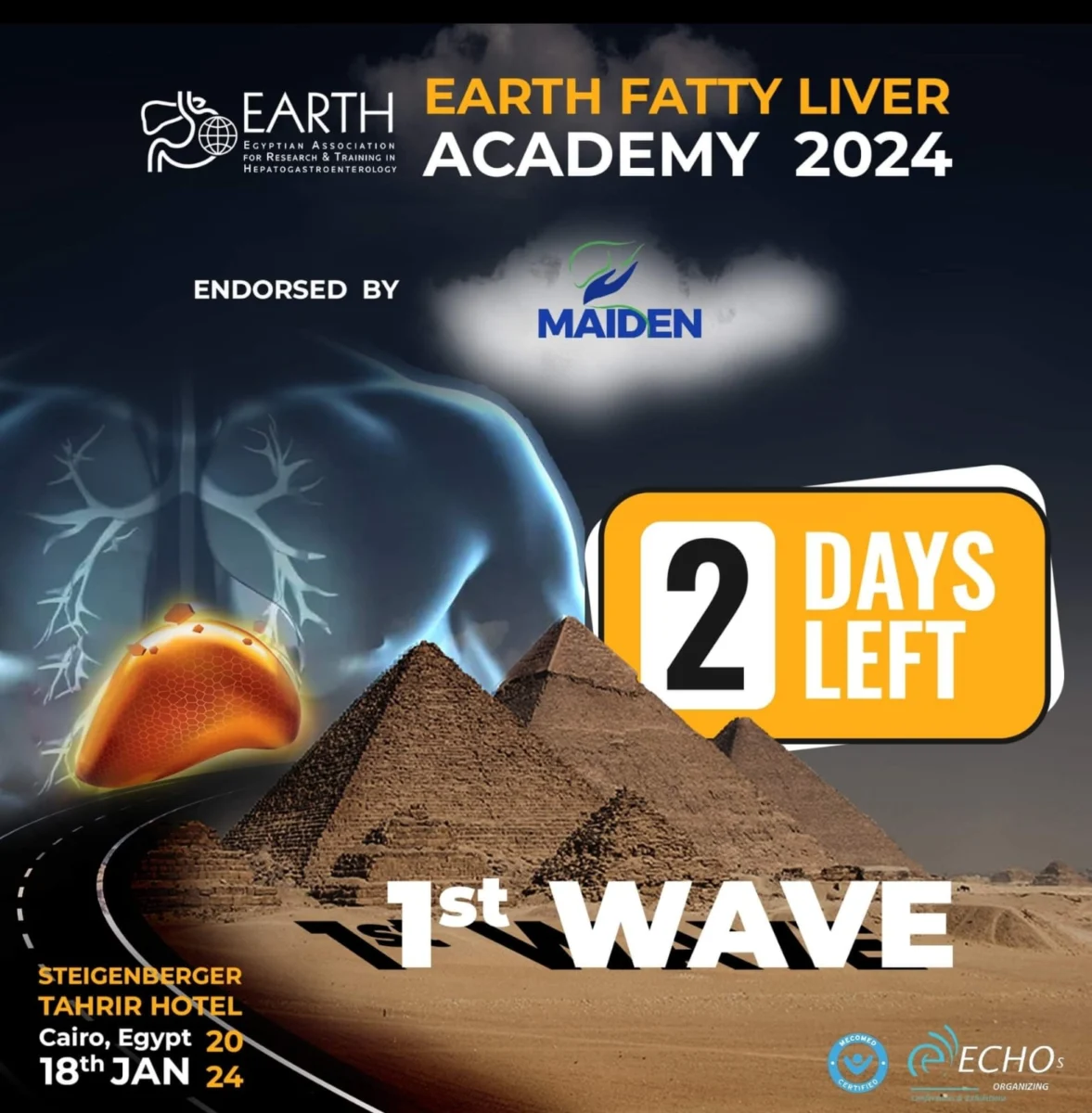 1st WAVE EARTH’s FATTY LIVER ACADEMY