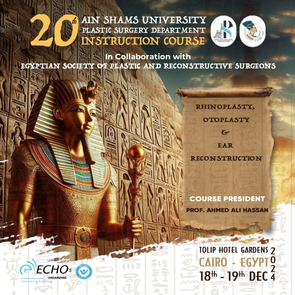 20th ANNUAL AIN SHAMS UNIVERSITY PLASTIC SURGERY DEPARTMENT INSTRUCTIONAL COURSE